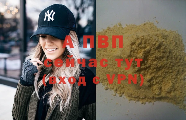 дмт Мегион