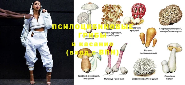 a pvp Медвежьегорск
