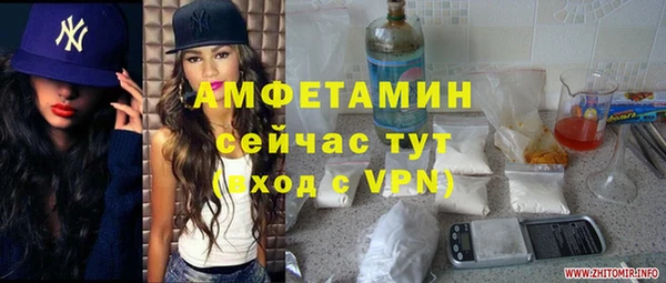 дмт Мегион