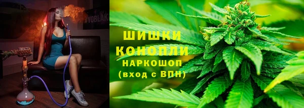 дмт Мегион