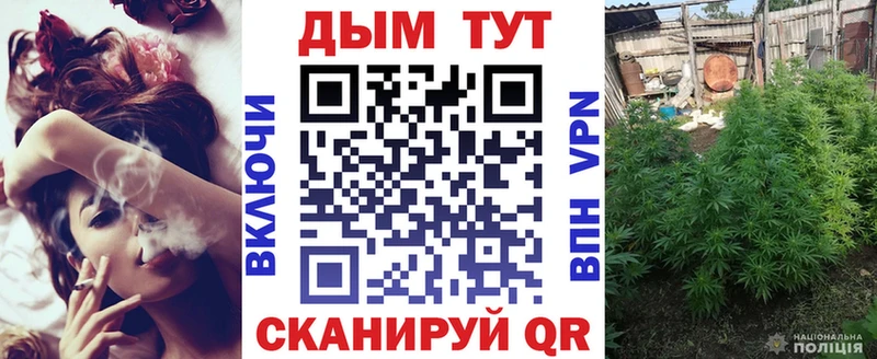 Бошки марихуана Bruce Banner  магазин    Сусуман 